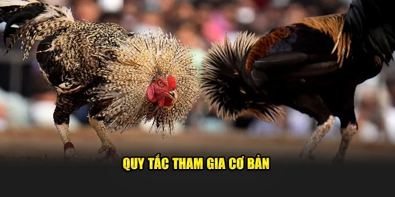 Quy tắc tham gia cơ bản