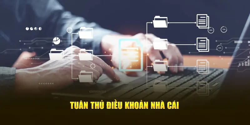 Tuân thủ điều khoản nhà cái